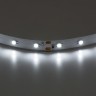 Лента белого свечения LIGHTSTAR 400004