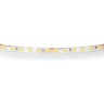 Лента LIGHTSTAR LED 24V 12W 120leds/M 26-28 lm 4000K IP65 5м 420554