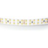 Лента LIGHTSTAR LED 24V 24W 240leds/M 26-28 lm 3000K IP20 5м 421503