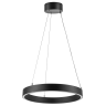 Люстра LIGHTSTAR SATURNO 748017 LED 24W 1600LM 70G 3000-6000K черный Люстра LIGHTSTAR SATURNO 748017 LED 24W 1600LM 70G 3000-6000K черный