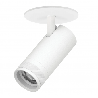 Светильник LIGHTSTAR CANNO PRO C4206RS встраиваемый 20W 1400LM 20-55G белый Светильник LIGHTSTAR CANNO PRO C4206RS встраиваемый 20W 1400LM 20-55G белый