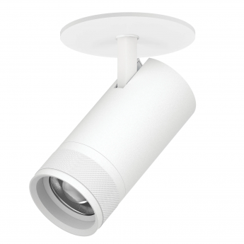 Светильник LIGHTSTAR CANNO PRO C4306RS встраиваемый 30W 2100LM 20-55G белый Светильник LIGHTSTAR CANNO PRO C4306RS встраиваемый 30W 2100LM 20-55G белый