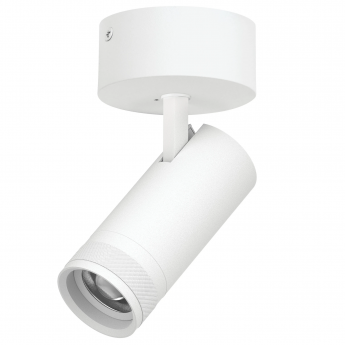 Светильник накладной LIGHTSTAR CANNO PRO C4206SO Светильник накладной LIGHTSTAR CANNO PRO C4206SO