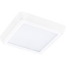 Светильник накладной LIGHTSTAR URBANO 216804
