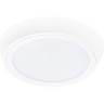 Светильник накладной LIGHTSTAR URBANO 216904