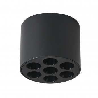 Светильник потолочный LIGHTSTAR GUARDA 080647