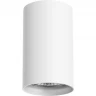 Светильник точечный LIGHTSTAR RULLO 214436